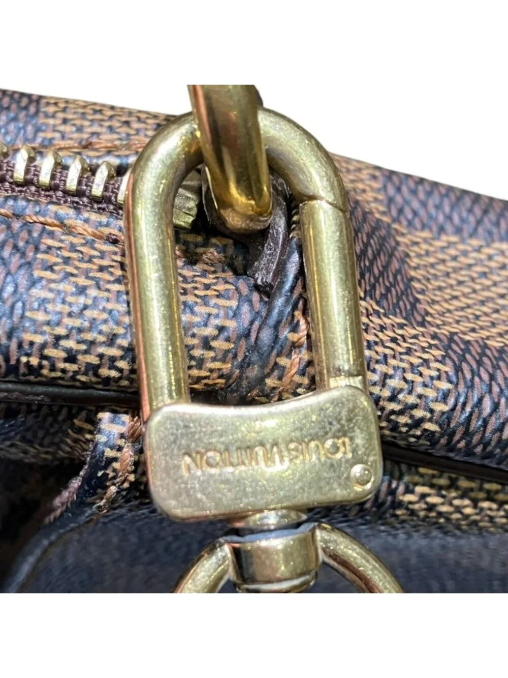 Louis Vuitton brand louis
